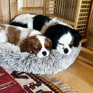 Meet your Posher, Hillary